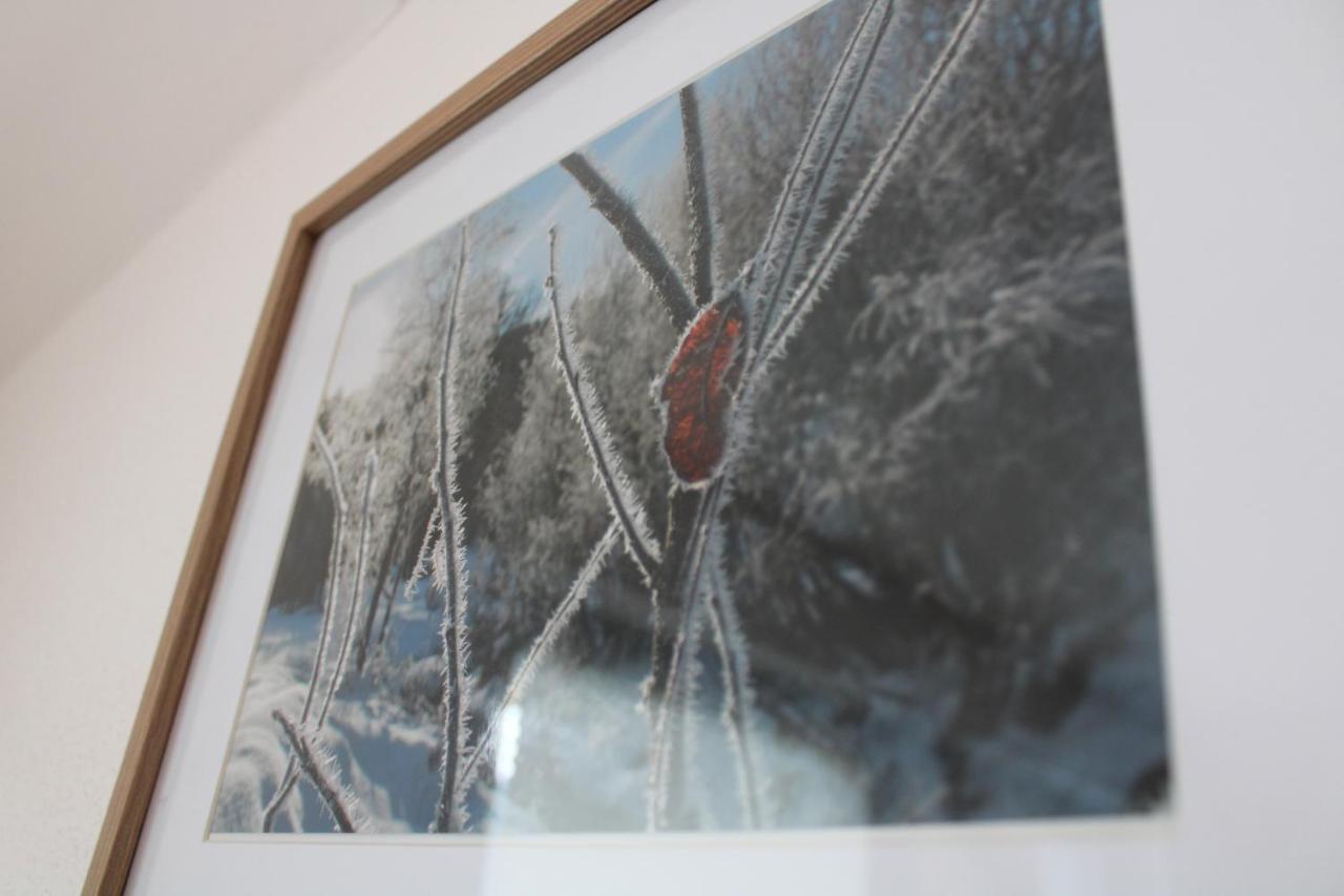 Apartment Zirmweber-Haus Sankt Johann im Pongau Exteriér fotografie
